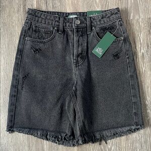 Wild Fable Black Frayed Jean Shorts